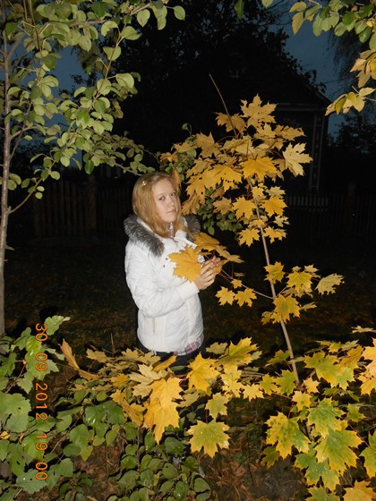 Яяяяя: Жёлтая осень